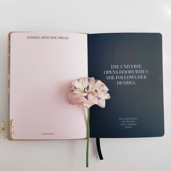 Phenomenal Woman 12-Month Planner - Tan - Lightly marked stock sale - Image 15
