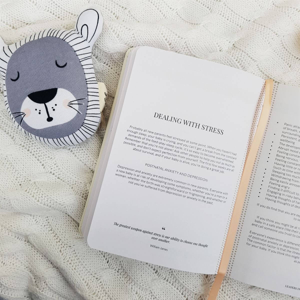 Tiny Little Miracle Baby Feeding Journal