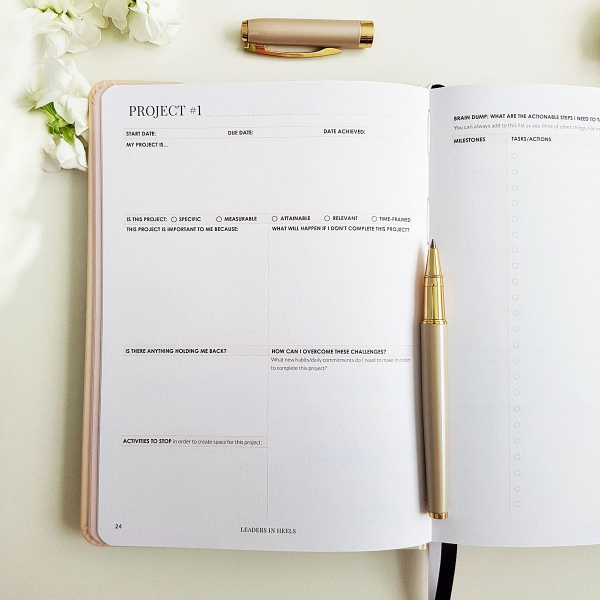 The Leaders in Heels Planner Make It Happen - Project
