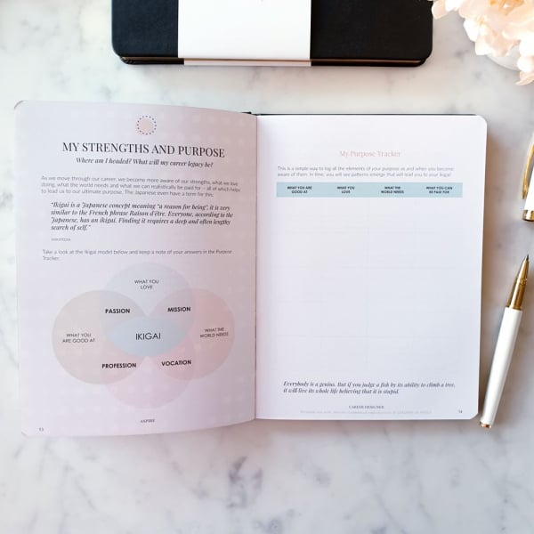 Aspire Career Designer