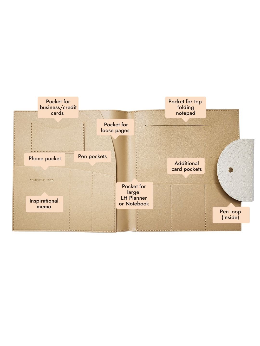 Compendium - Large